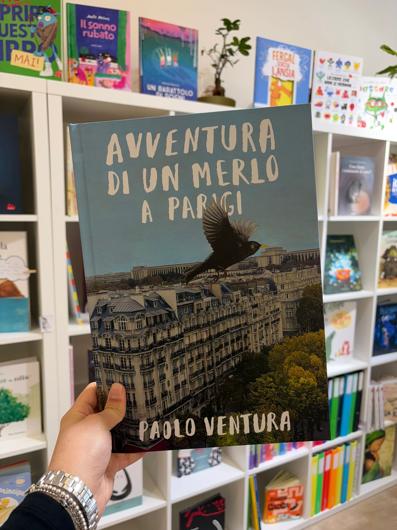 Avventura di un merlo a Parigi