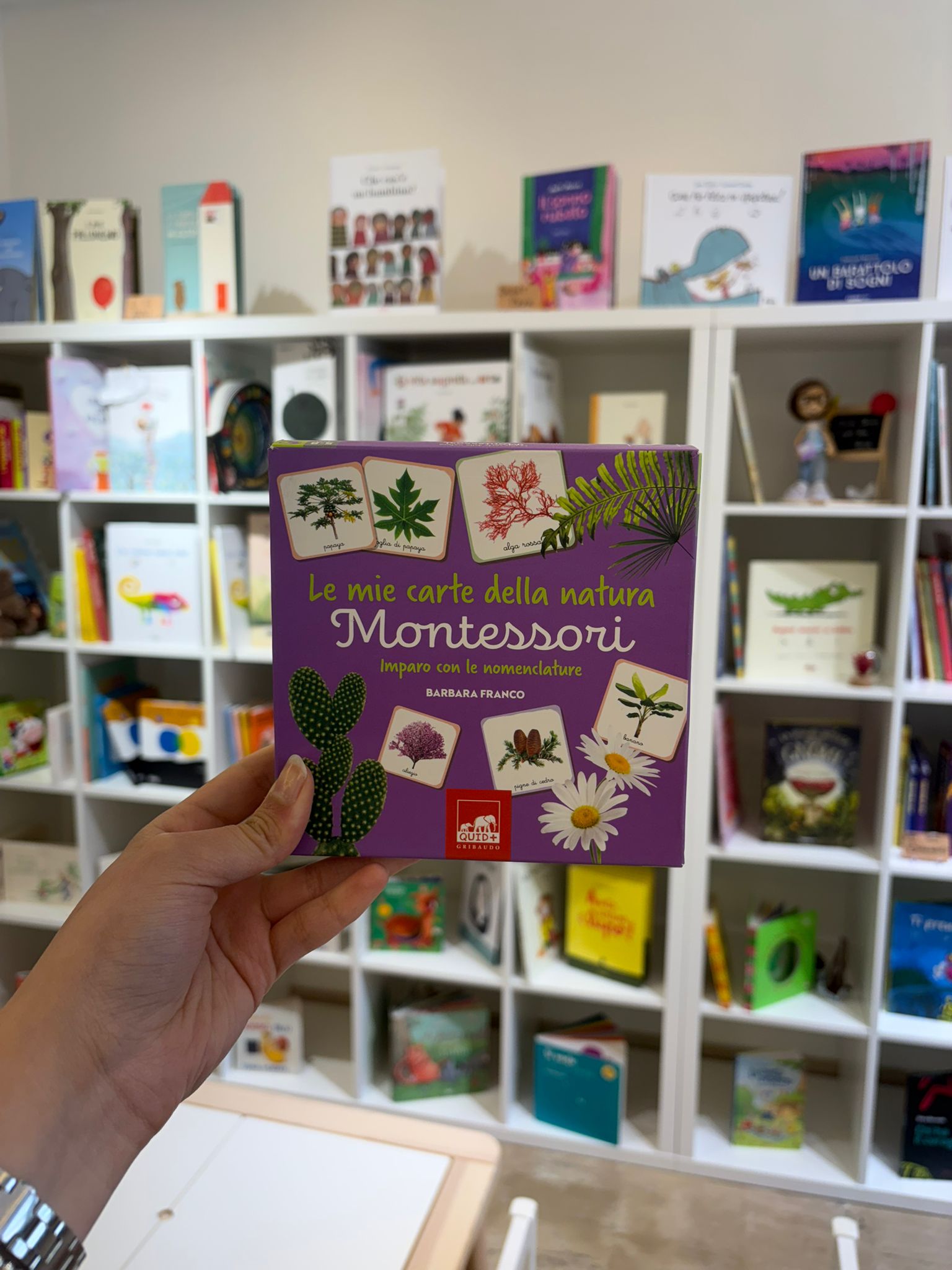 Mie carte della natura montessori