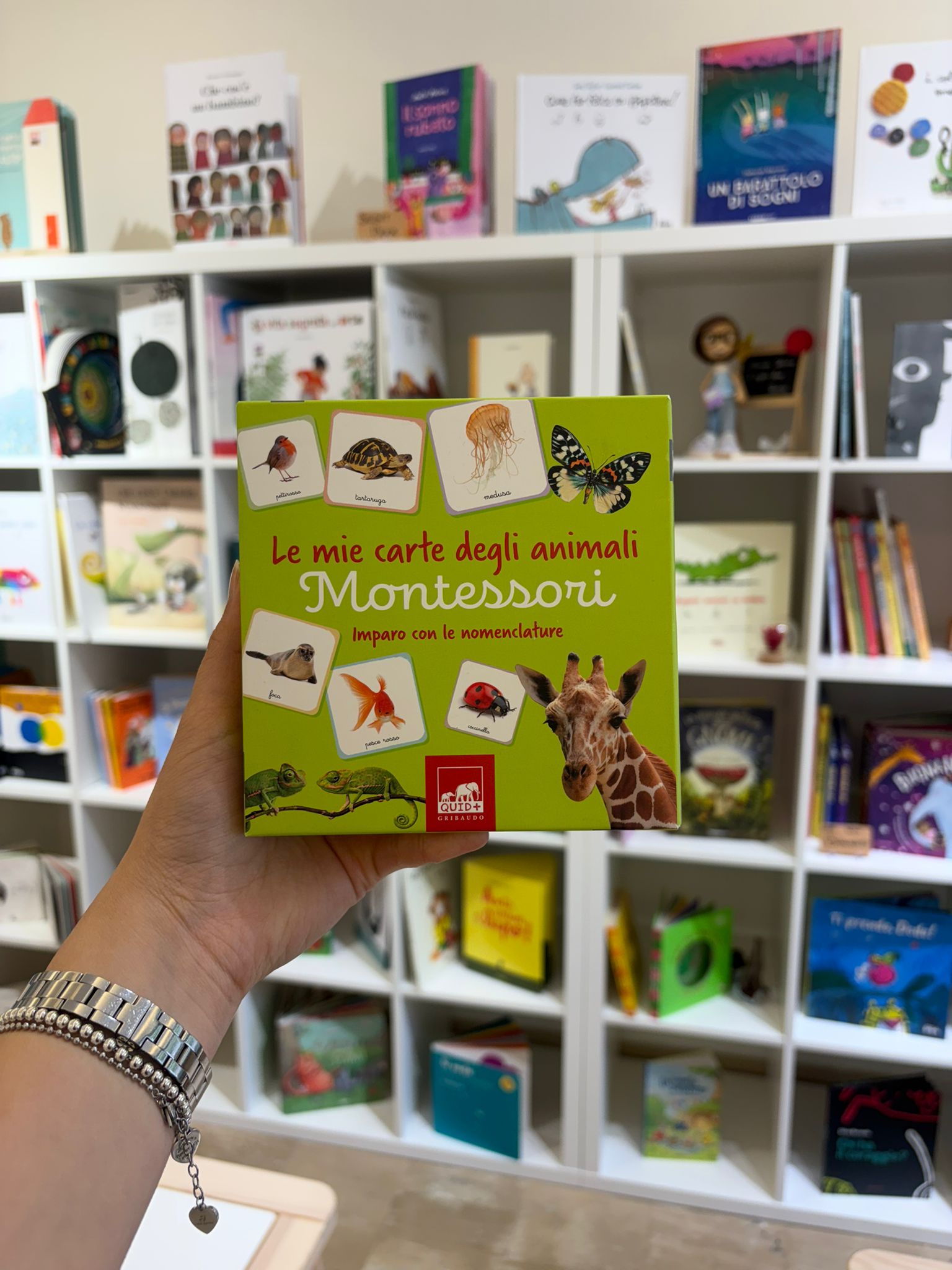 Mie carte degli animali montessori