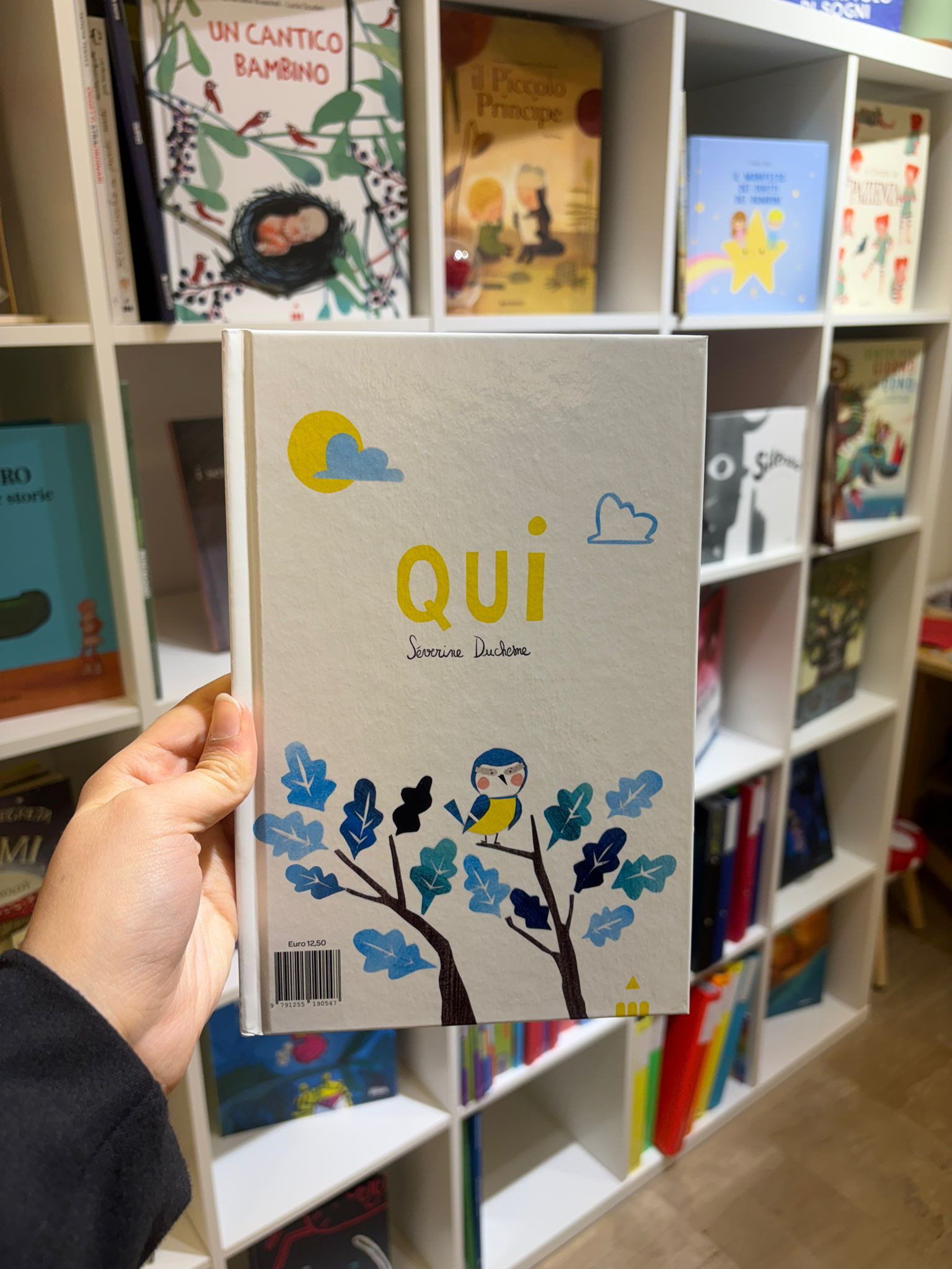 QUI - immagine 2