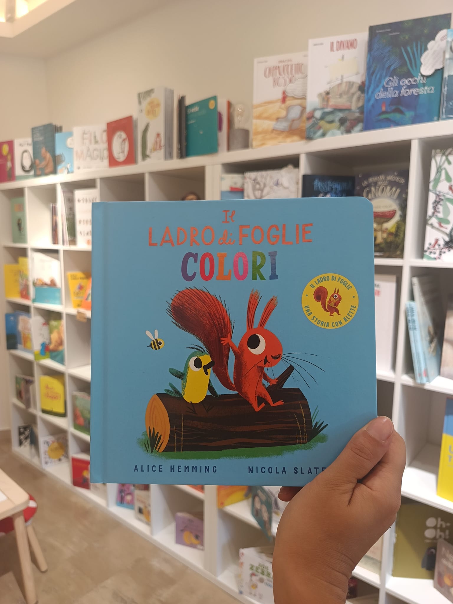 Il ladro di foglie COLORI