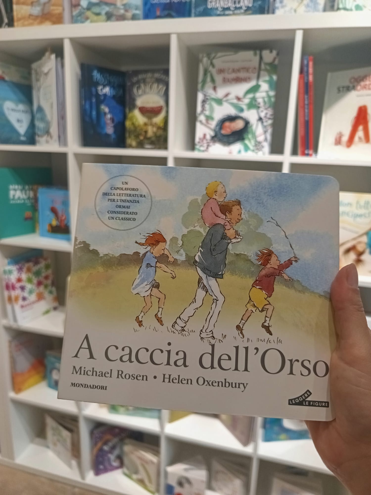 A caccia dell'orso